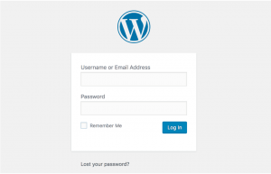 WordPress Hacked: How To Get Rid Of This Trouble?