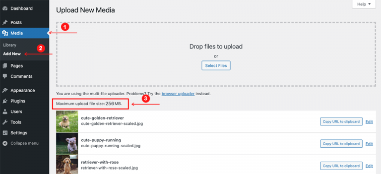 how-to-fix-the-uploaded-file-exceeds-the-upload-max-filesize-directive